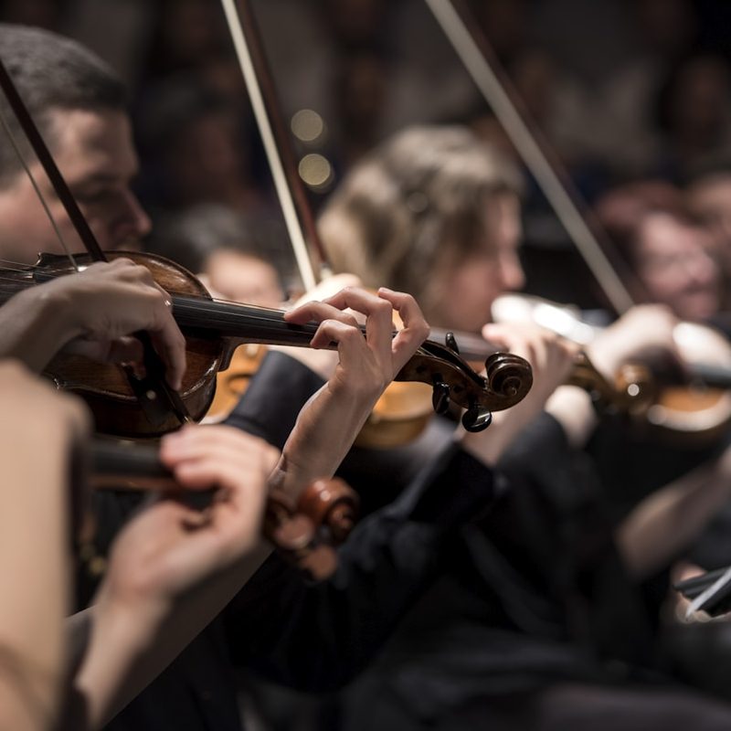 1. Sinfoniekonzert — Synästhesie