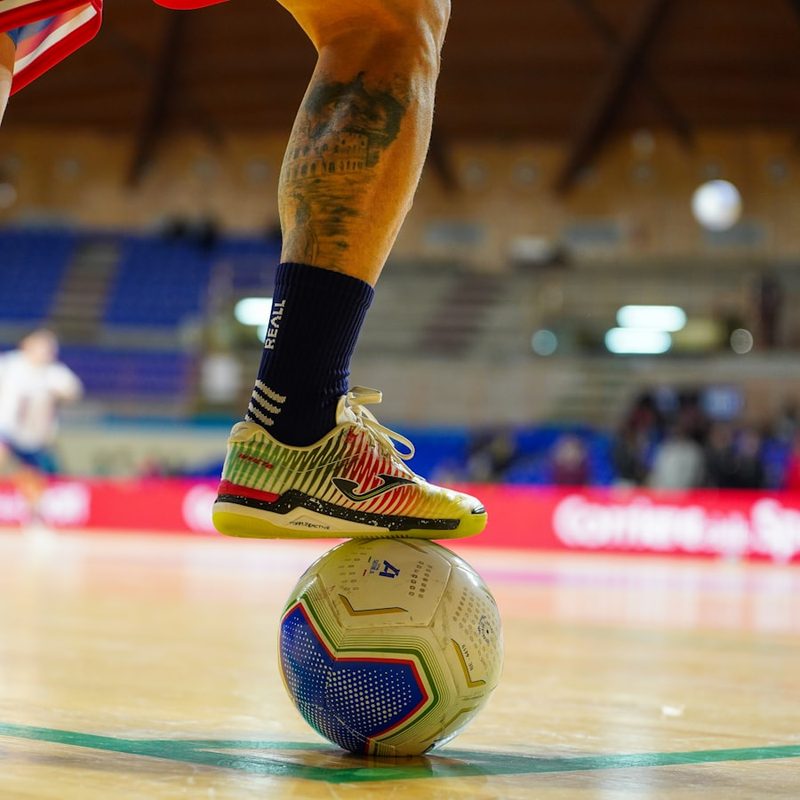 SG Flensburg Handewitt vs. HC Erlangen — Opel HBL